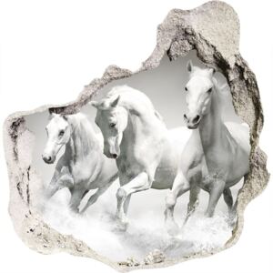 Diera 3D fototapety na stenu Biele kone
