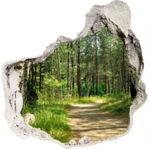 Díra 3D ve zdi nálepka Chodník v lese