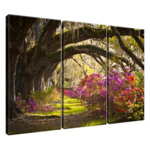 Obraz na plátne Silné duby a kvety 90x60cm 1480A_3J