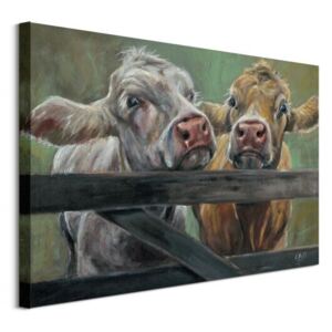 Obraz na plátne Dve kravy Brown Louise 80x60cm WDC100102