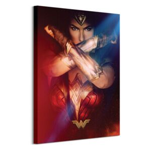Obraz na plátne DC Comics Wonder Woman (Power) 60x80 WDC99962