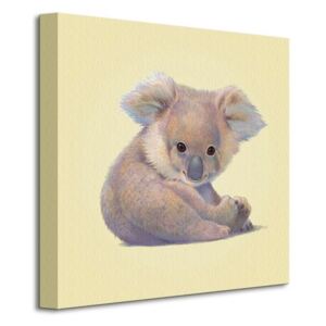 Obraz na plátne Koala Butler John 40x40cm WDC95280