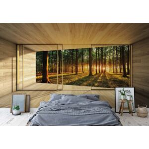 GLIX Fototapeta - Forest 3D Modern Window View Vliesová tapeta - 208x146 cm