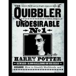 Rámovaný Obraz - Harry Potter - The Quibbler