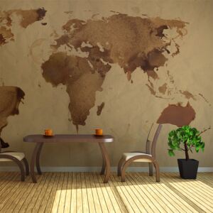 Fototapeta XXL Bimago - Tea map of the World + lepidlo zadarmo 450x270 cm
