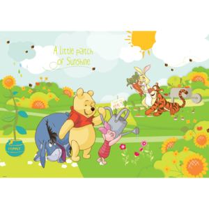 Výpredaj - Detská fototapeta Medvídek Pú a přátelé vlies 104 x 70,5 cm