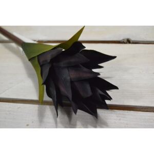Umelý kvet kurkuma - fialovo - čierna (V:43cm) 051