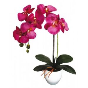 Umelá orchidea v kvetináči 7 kvetov, 55 cm, fialová