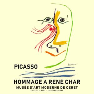 Picasso 1969, (96 x 128 cm)