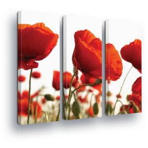 Obraz na plátne - Poppies 3 x 30x80 cm