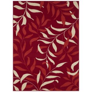 Mujkoberec Original Kusový koberec 104284 Red - 80x150 cm