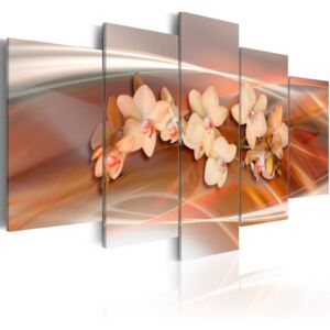 Obraz na plátne Bimago - Orchideje - oranžové odstíny 100x50 cm