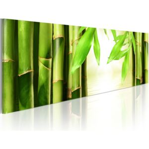 Obraz na plátne - Bamboo gate 120x40 cm