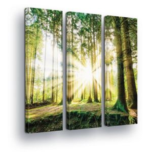 Obraz na plátne - Spring Forest 3 x 30x100 cm