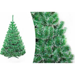Vianočná jedľa 150 cm s bielymi koncami vetvičiek Zelená