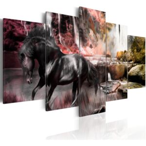 Obraz na plátne - Black horse on crimson sky background 100x50 cm