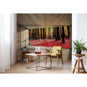 Fototapeta - Autumn Forest 3D Modern Window View Vliesová tapeta - 368x254 cm