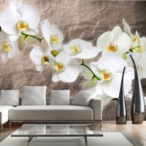 Fototapeta - Purity of the orchid 200x154 cm
