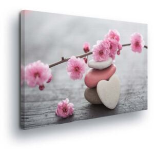 Obraz na plátne - Light Pink Flowers III 60x40 cm