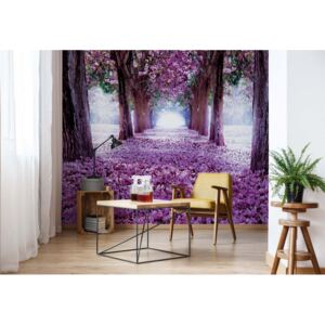 Fototapeta GLIX - Flowers Trees Path Purple + lepidlo ZADARMO Vliesová tapeta - 416x254 cm