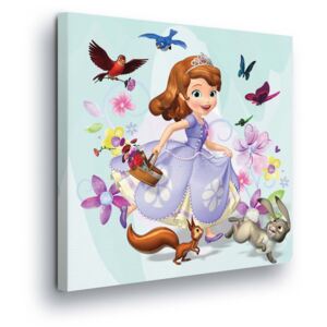 Obraz na plátne - Disney Princess Princess Sofia 40x40 cm