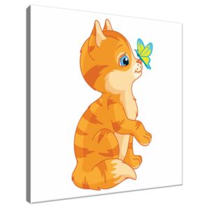 Obraz na plátne Oranžová mačička 30x30cm 3015A_1AI