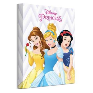 Obraz na plátne Disney Princezny (Bella, Popoluška and Snehulienka) 30x40 WDC92705