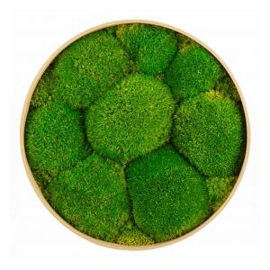 Machový kruh s kopcovitým machom Bolmoss 45 cm prírodna zelená