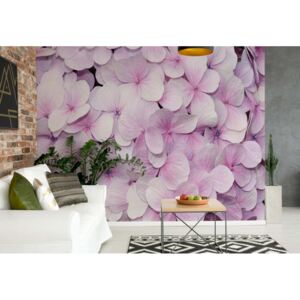 Fototapeta - Pastel Flowers Purple Vliesová tapeta - 416x254 cm