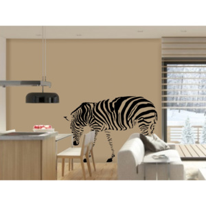 Zebra samolepky na stenu - 01