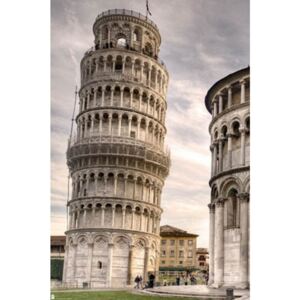 Plagát, Obraz - The Leaning Tower of Pisa, (61 x 91,5 cm)