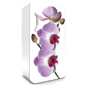 Dimex Fototapeta na chladničku FR-120-024 Fialová orchidea 120 x 65 cm