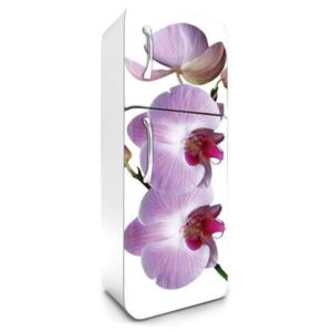 Dimex Fototapeta na chladničku FR-180-024 Orchidea 180 x 65 cm