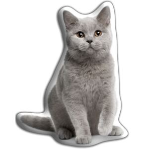 Vankúšik Adorable Cushions britská krátkosrstá mačka