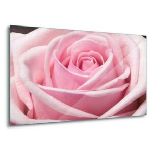 Obraz na skle GLIX - The Sensual Rose 100x75 cm