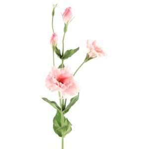 Eustoma - Lisianthus umelý kvet ružová