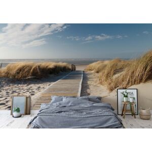 Fototapeta - Beach Walkway Coastal Sand Dunes Vliesová tapeta - 254x184 cm