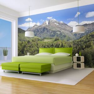 Fototapeta - Holiday in the mountains 250x193 cm