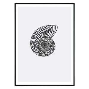 La forma Design studio Nautilus in black 30x40 cm