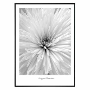 La forma Design studio Flower chrysanthemum 30x40 cm