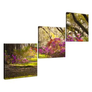 Obraz na plátne Silné duby a kvety 120x80cm 1480A_3O