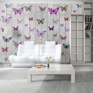 Tapeta - Butterflies and Concrete role 50x1000 cm