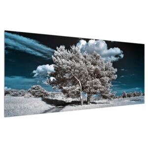 Obraz snehovo bieleho stromu (120x50 cm)