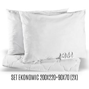 Set manželskej prikrývky a vankúšov Ekonomic 220x200 + 90x70 (2x) EMI