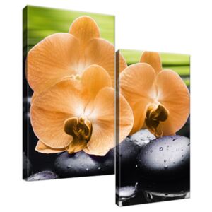 Obraz na plátne Oranžová orchidea 60x60cm 1713A_2A