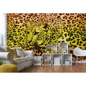 GLIX Fototapeta - Leopard Vliesová tapeta - 416x254 cm