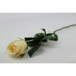 Krémová ruža na stonke s listami