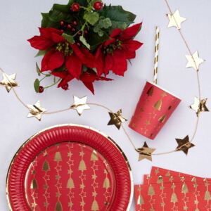 Girlanda Neviti Dazzling Christmas Star
