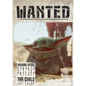 Plagát, Obraz - Star Wars: The Mandalorian - Baby Yoda Wanted, (61 x 91,5 cm)
