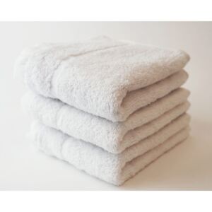 Dobrý Textil Malý uterák Economy 30x50 - Bílá | 30 x 50 cm